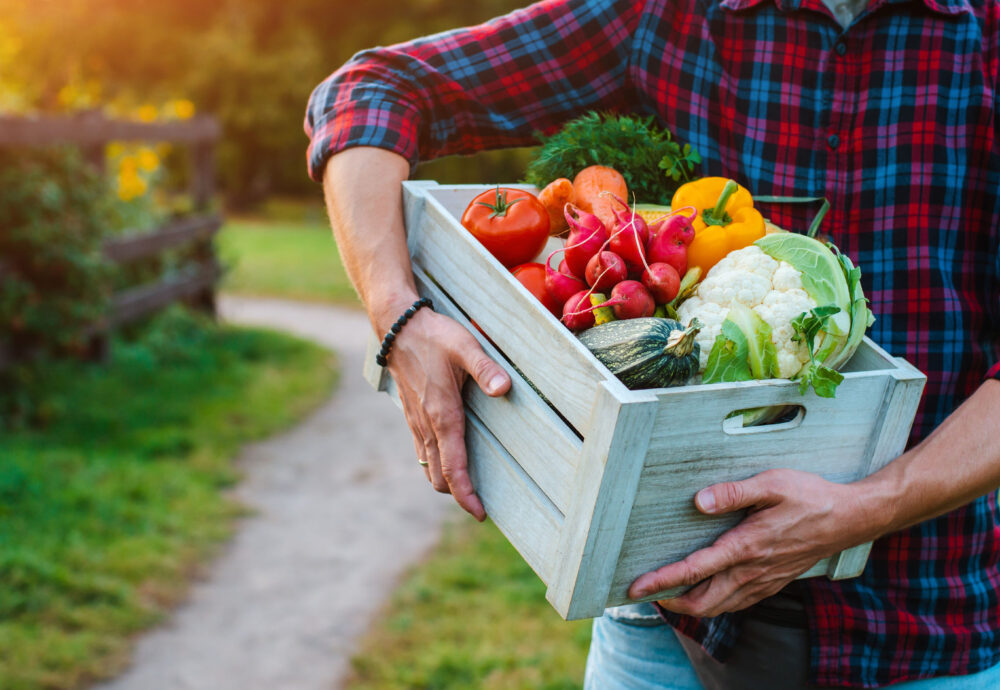 Signaturbild för BERT. Baltic Sea Food Flagship – Enhanced Rural Tourism Through Farm to Fork